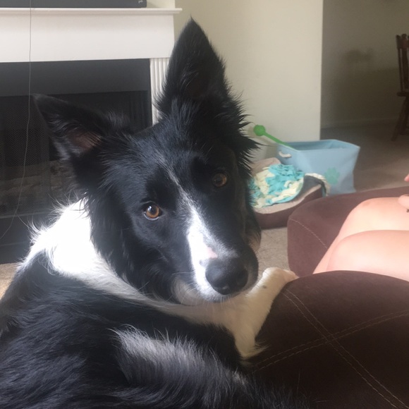 Meet your Posher, Jenn - Picture 1 of 1